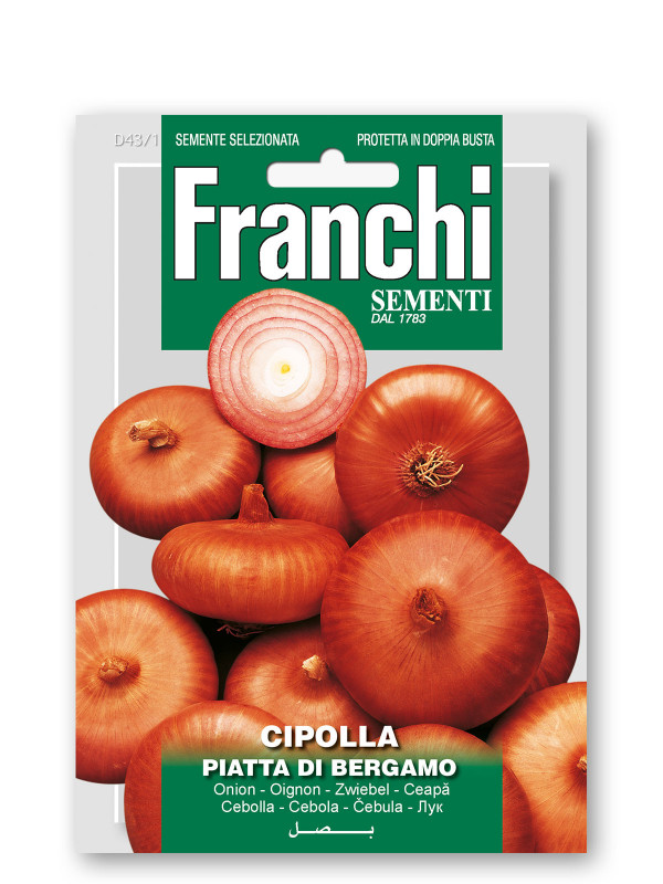 Cipolla piatta  D. Bergamo Vegetable seeds