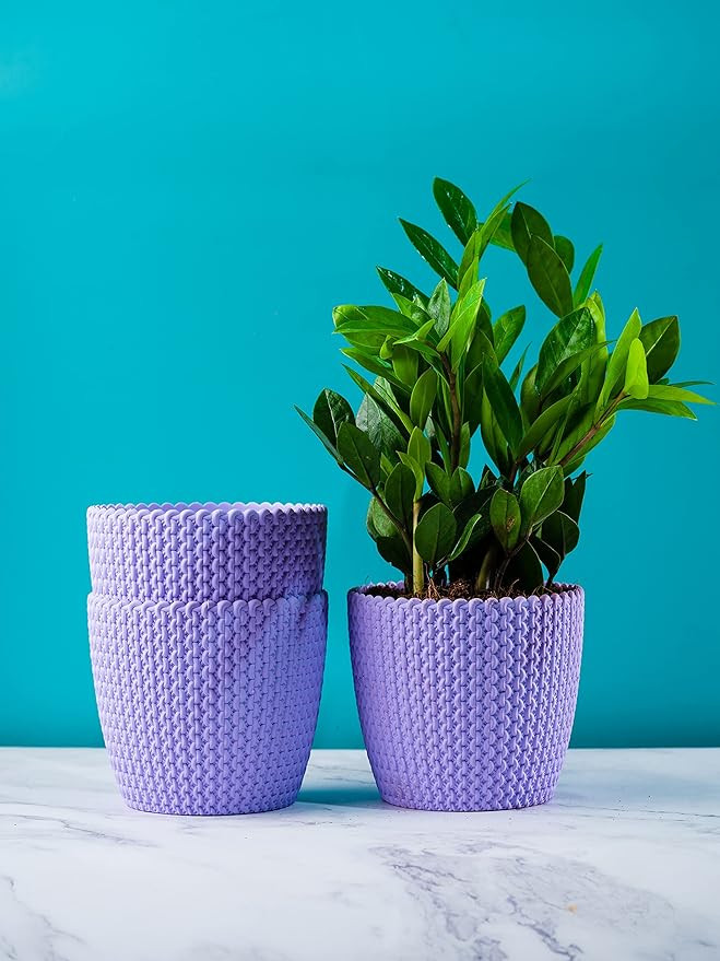 PLASTIC POT PURPLE 5 INCH (PACK OF 3 PC)