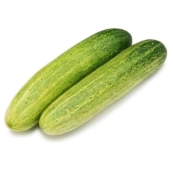 CUCUMBER VEGETABLE SEEDS