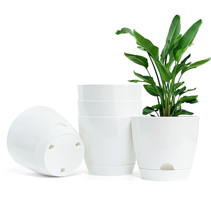 PLASTIC POT WITH DRAINAGE HOLE (PACK OF 5 PC)