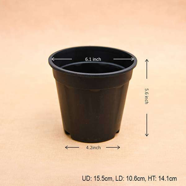 PLASTIC POT BLACK 6 INCH (PACK OF 6 PCS)