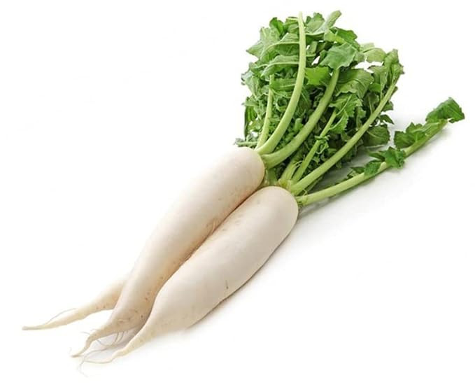 RADISH WHITE VEGETABLE SEEDS