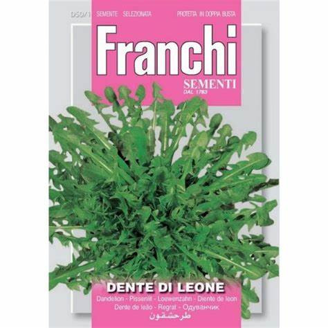 Dente Di  Selvatico Vegetable Seeds