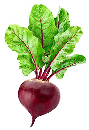 Beetroot Vegetable Seeds