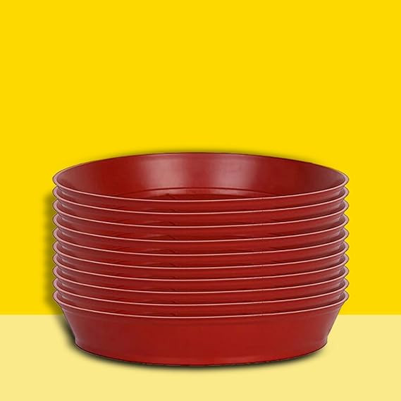PLASTIC BOTTOM TRAYS -6*8 INCH (PACK OF 10 PCS)